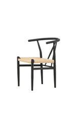 Alfons Esszimmerstuhl - schwarz/Stahl - Essstühle - ALVAHOME