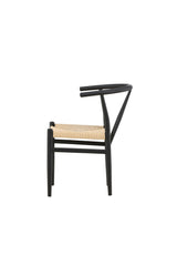 Alfons Esszimmerstuhl - schwarz/Stahl - Essstühle - ALVAHOME