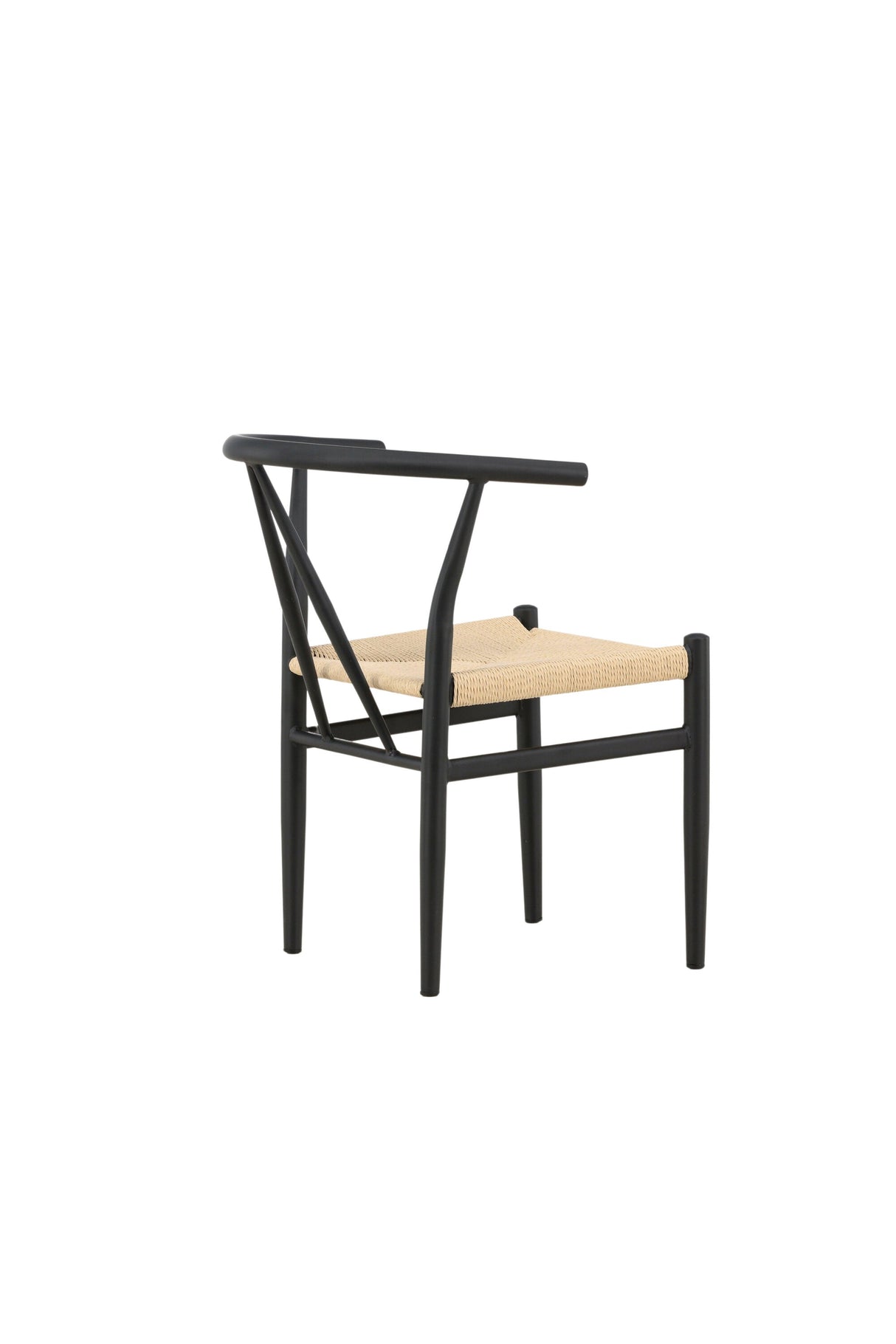 Alfons Esszimmerstuhl - schwarz/Stahl - Essstühle - ALVAHOME