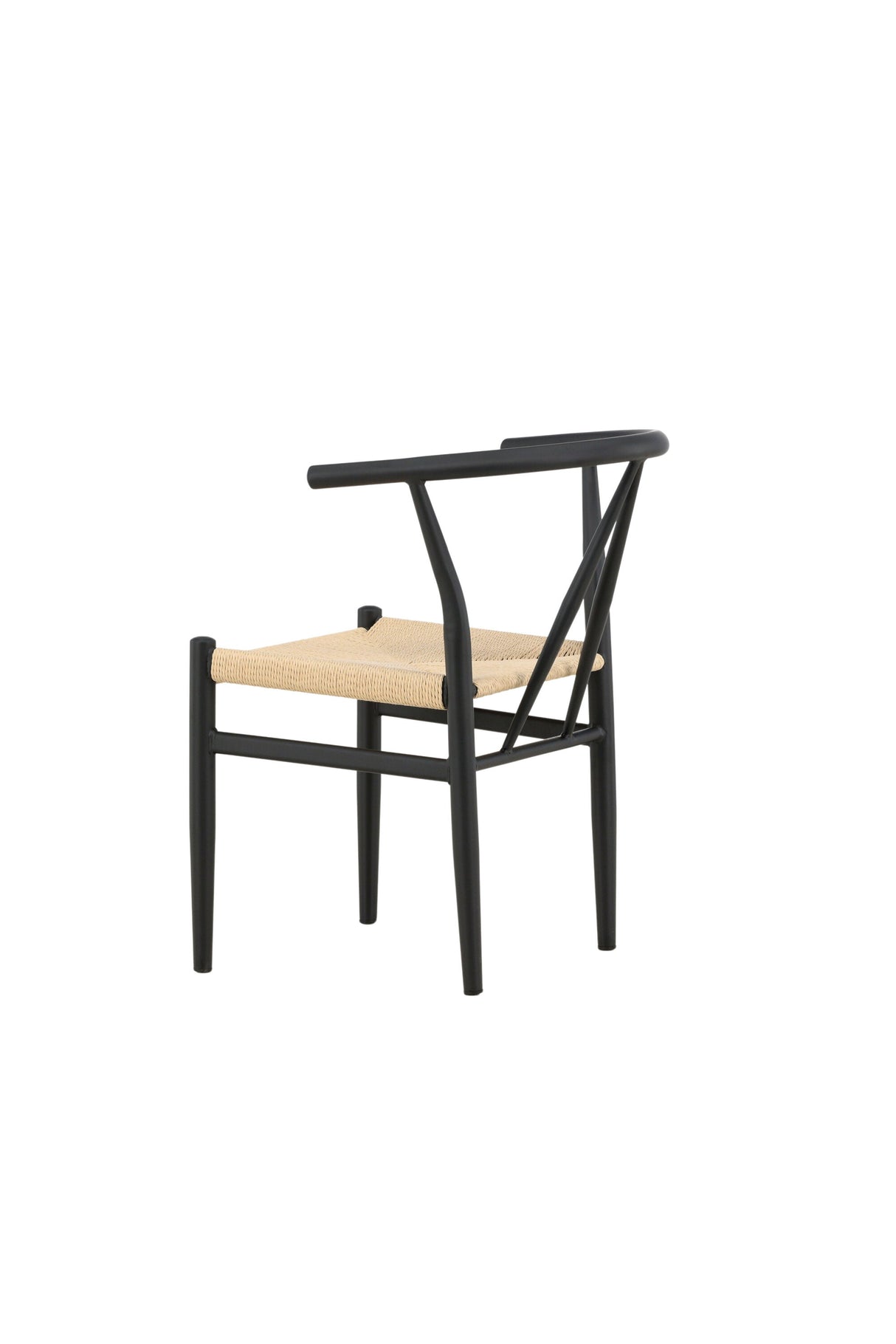 Alfons Esszimmerstuhl - schwarz/Stahl - Essstühle - ALVAHOME