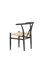 Alfons Esszimmerstuhl - schwarz/Stahl - Essstühle - ALVAHOME