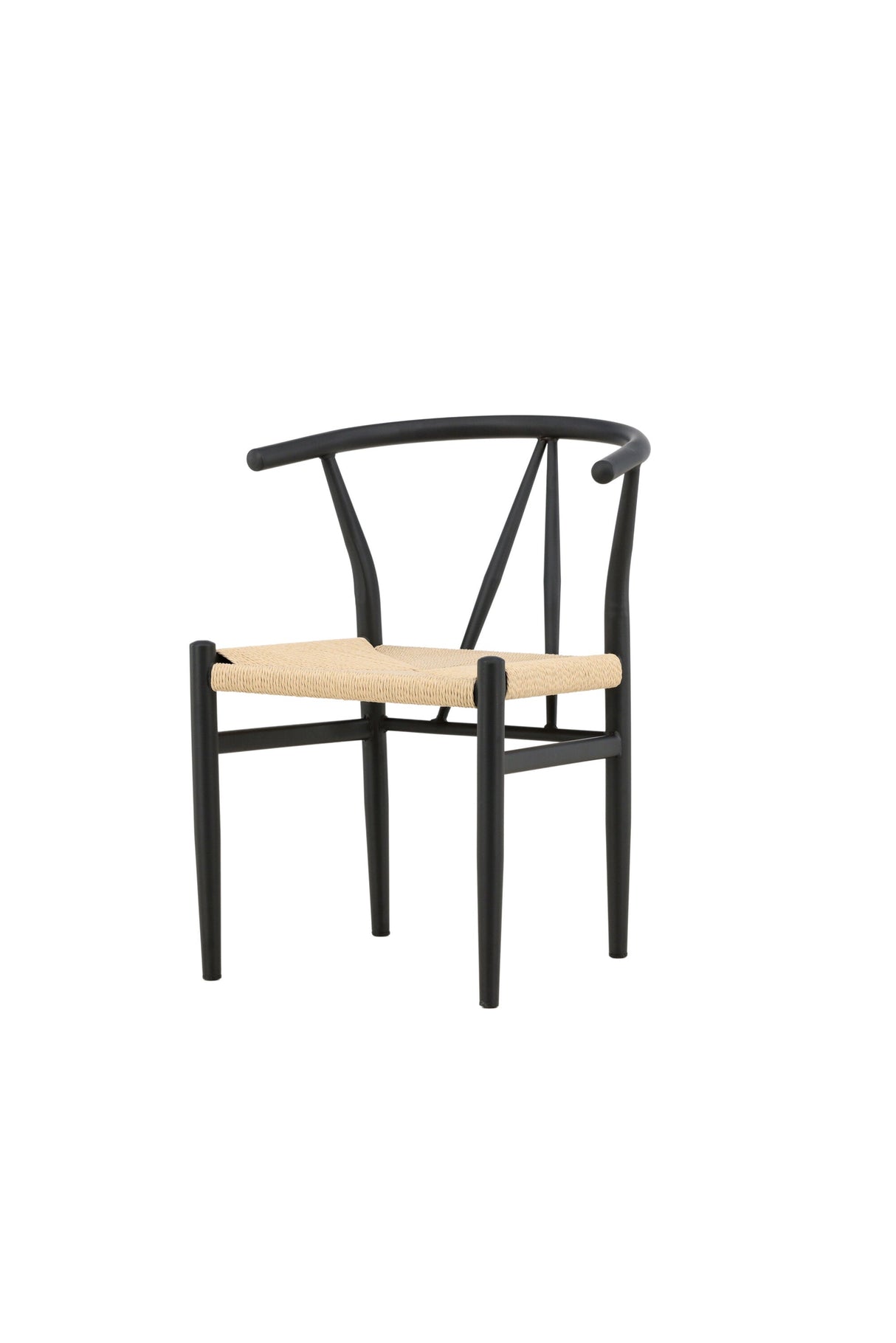 Alfons Esszimmerstuhl - schwarz/Stahl - Essstühle - ALVAHOME