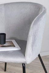 Berit Esszimmerstuhl - grau/Polyester - Samt - Essstühle - ALVAHOME
