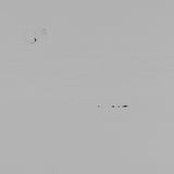 Cadiz Schrank - nebel/Kiefer [fsc] - Schränke - ALVAHOME