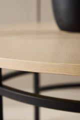 Copenhagen Couchtisch - white - wash/MDF - Couchtische - ALVAHOME