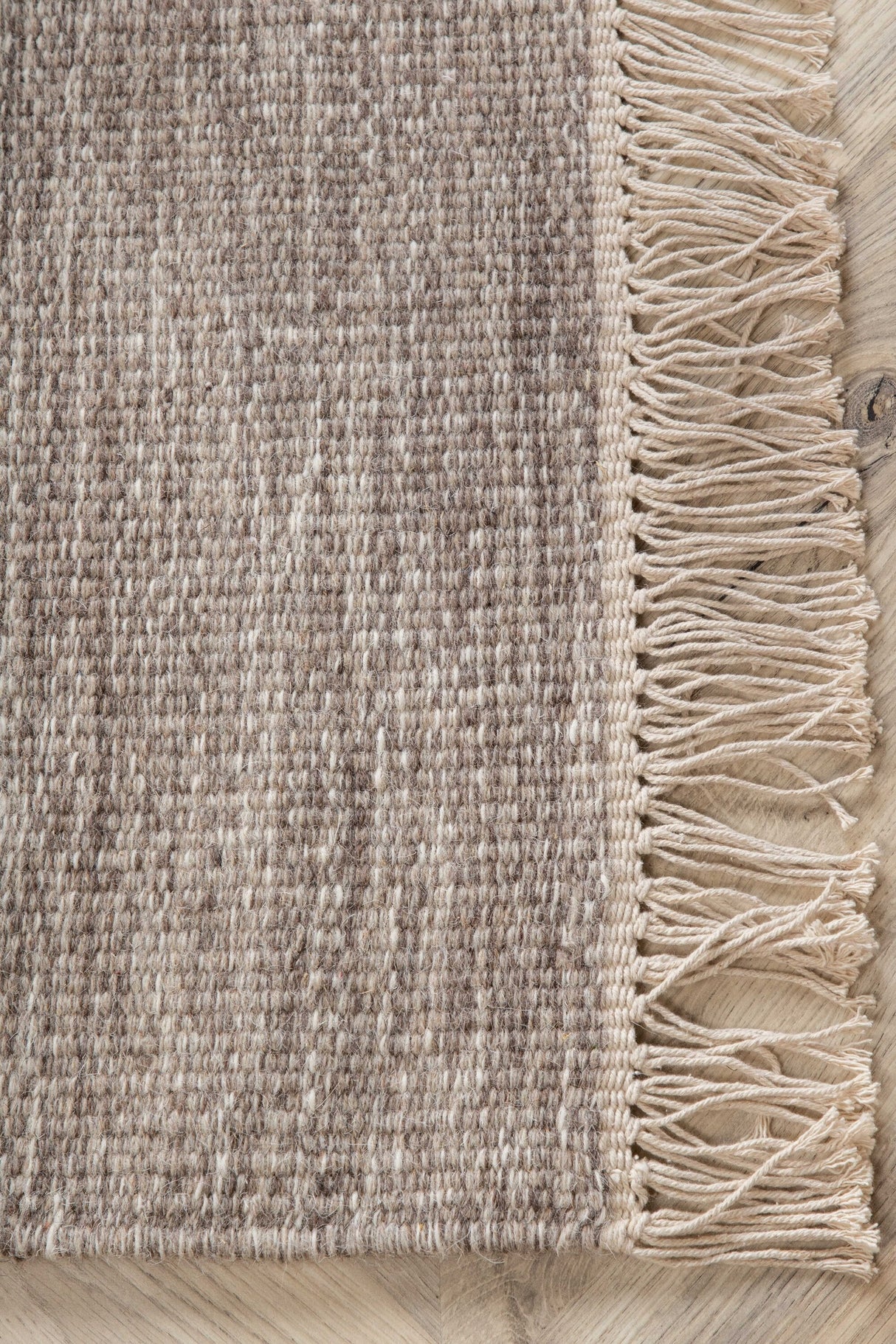 Cyrus Wohnzimmerteppich - beige/Wolle - Wohnzimmerteppiche - ALVAHOME