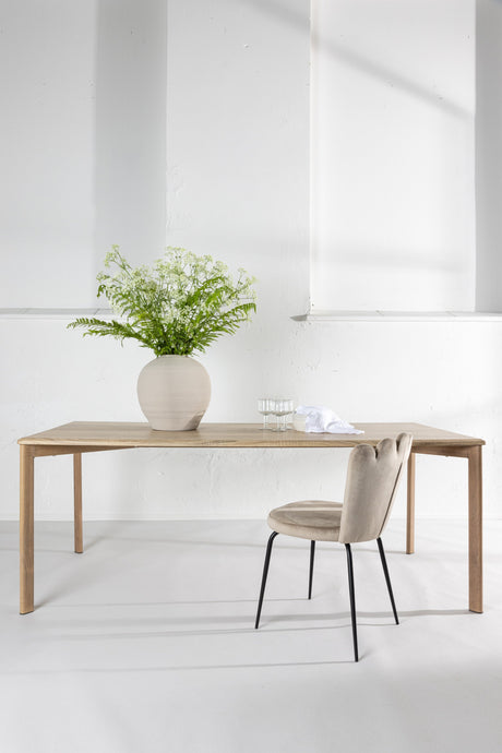Damon rechteckiger Esstisch - white - wash/MDF - Rechteckige Esstische - ALVAHOME