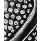 HDBloss Vase - schwarz - Vasen - ALVAHOME