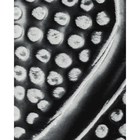 HDBloss Vase - schwarz - Vasen - ALVAHOME