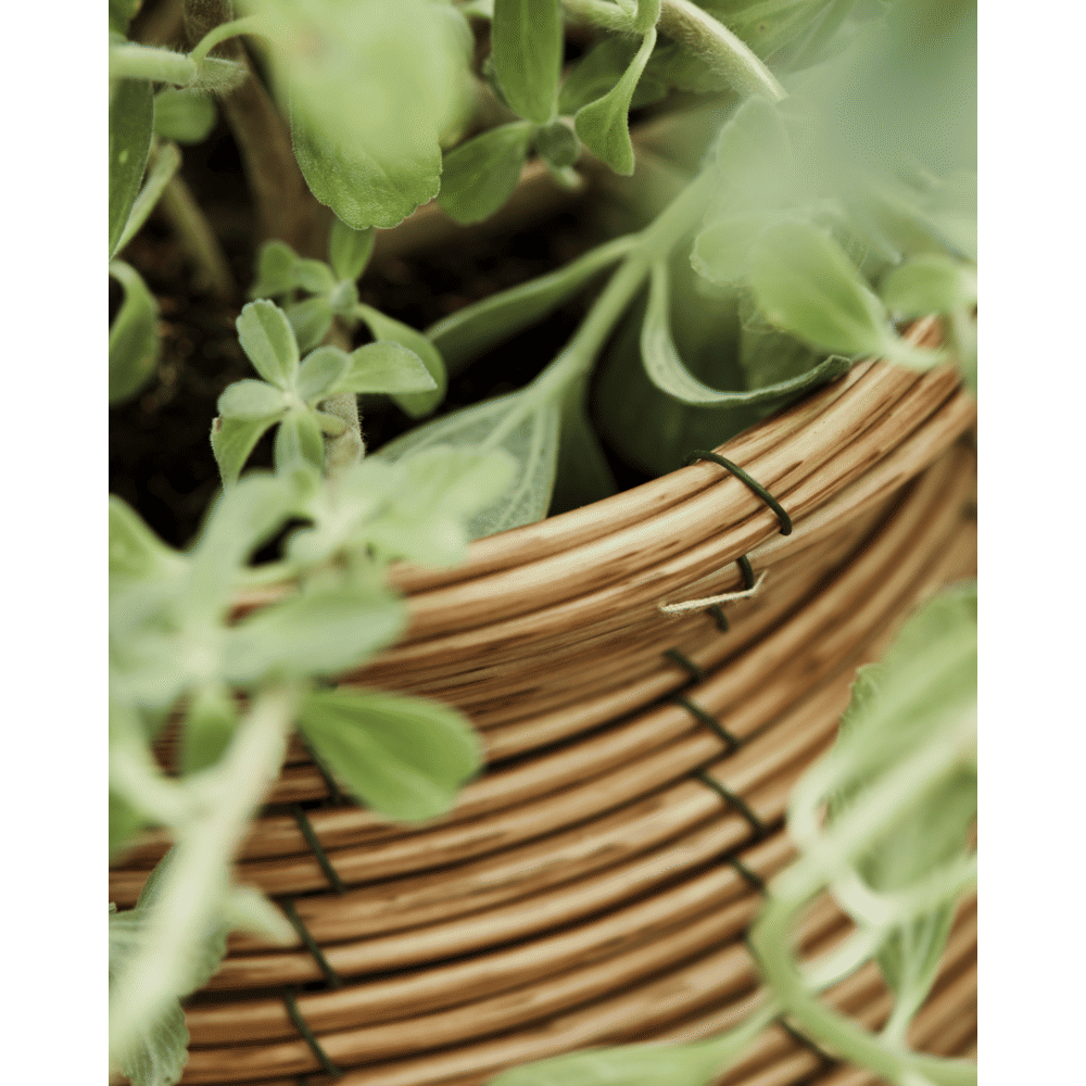 HDBoum Blumentopf - natur - Blumentöpfe - ALVAHOME