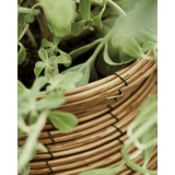 HDBoum Blumentopf - natur - Blumentöpfe - ALVAHOME