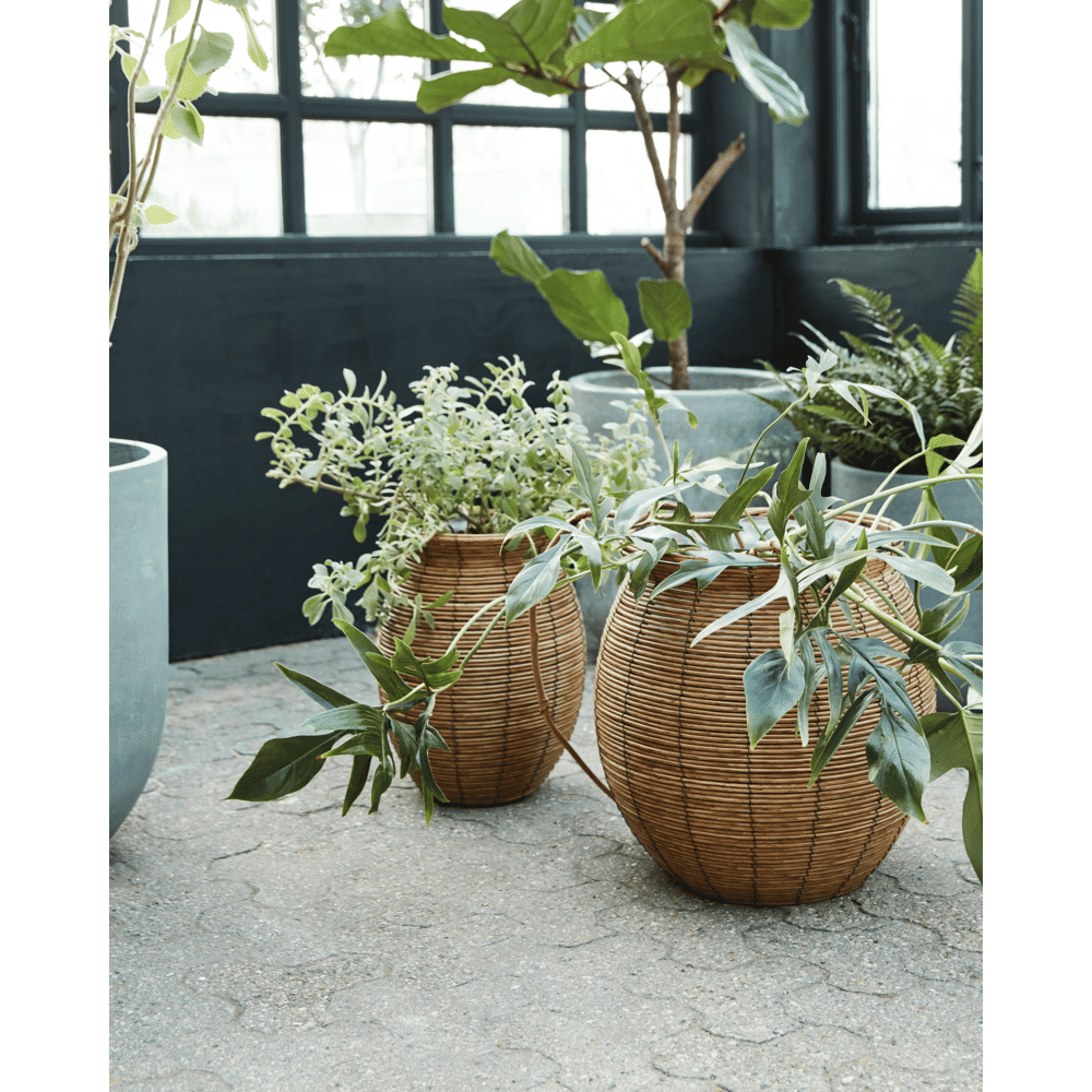 HDBoum Blumentopf - natur - Blumentöpfe - ALVAHOME