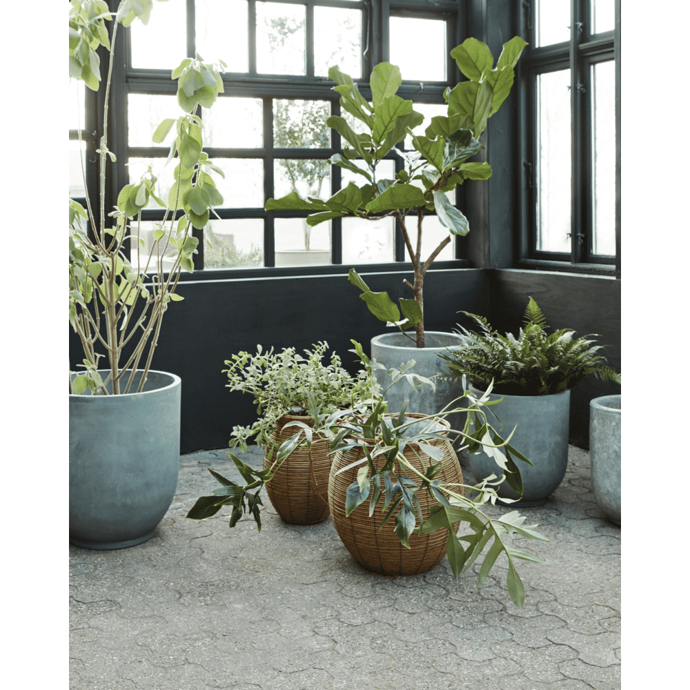 HDBoum Blumentopf - natur - Blumentöpfe - ALVAHOME
