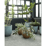 HDBoum Blumentopf - natur - Blumentöpfe - ALVAHOME