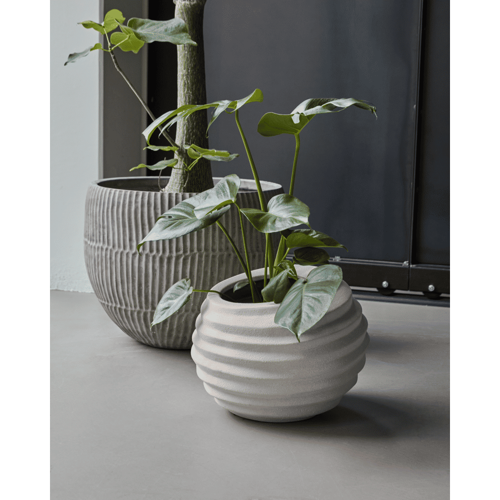 HDHapp Blumentopf - off - white - Blumentöpfe - ALVAHOME