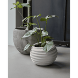 HDHapp Blumentopf - off - white - Blumentöpfe - ALVAHOME