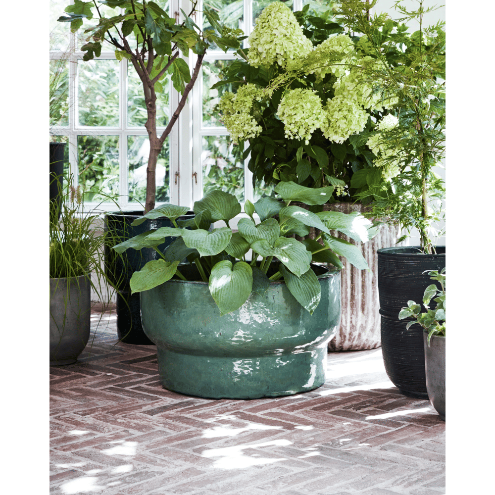 HDTerra Blumentopf - grün - Outdoor - Blumentöpfe - ALVAHOME