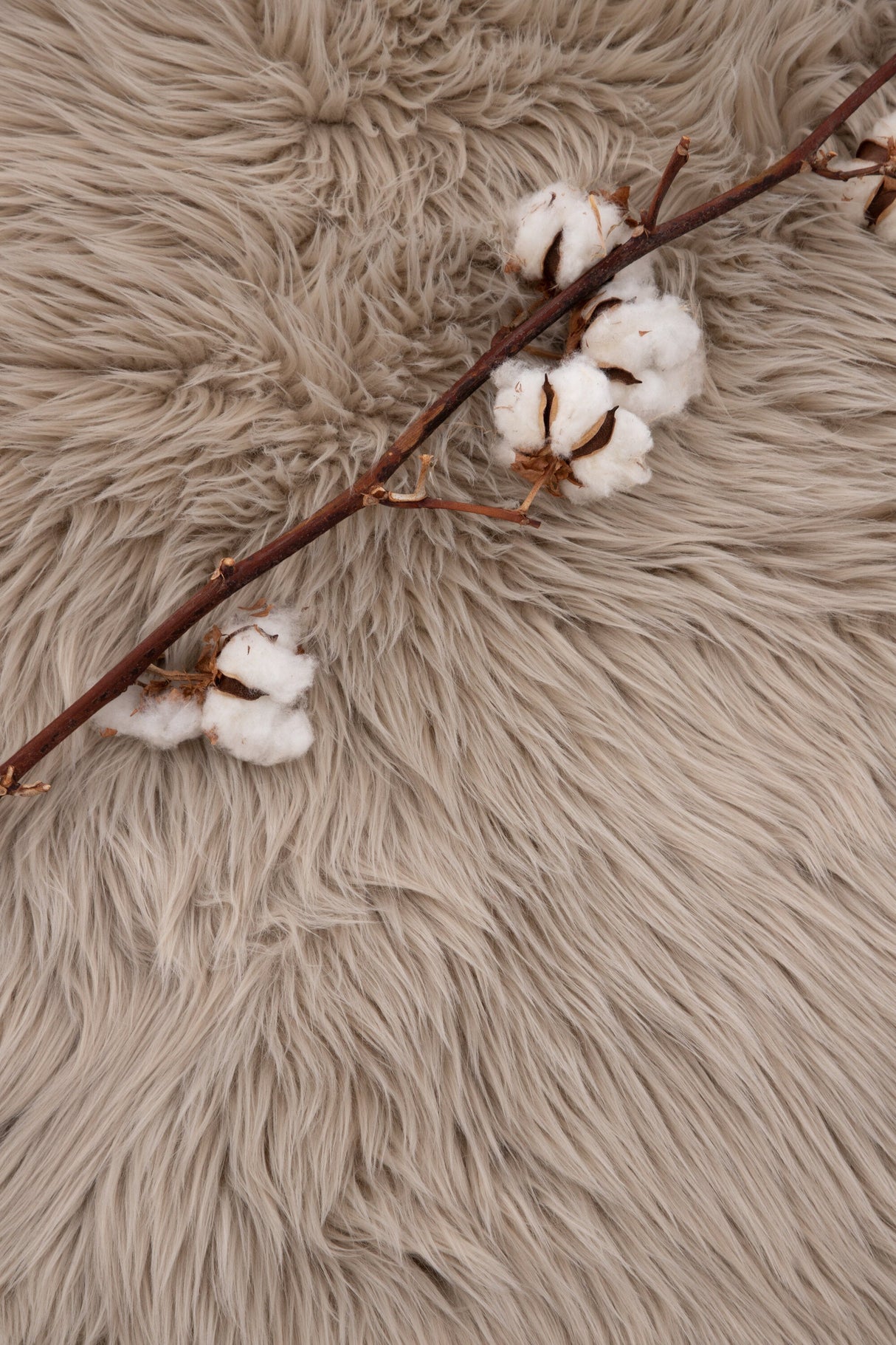 Katy Schafsfell - beige/Acryl - Schafsfelle - ALVAHOME