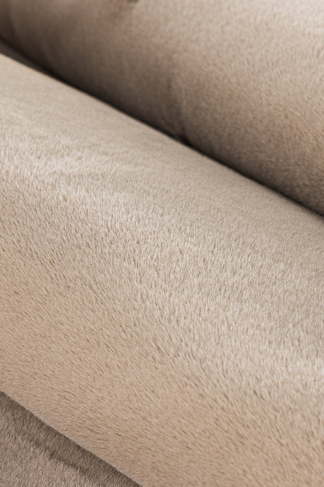 Leni Wohnzimmerteppich - beige/Polyester - Wohnzimmerteppiche - ALVAHOME