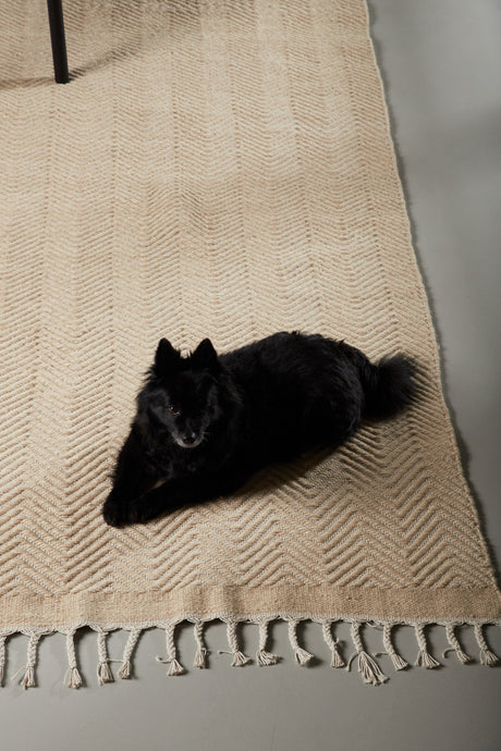Loke Wohnzimmerteppich - beige/Wolle - Wohnzimmerteppiche - ALVAHOME