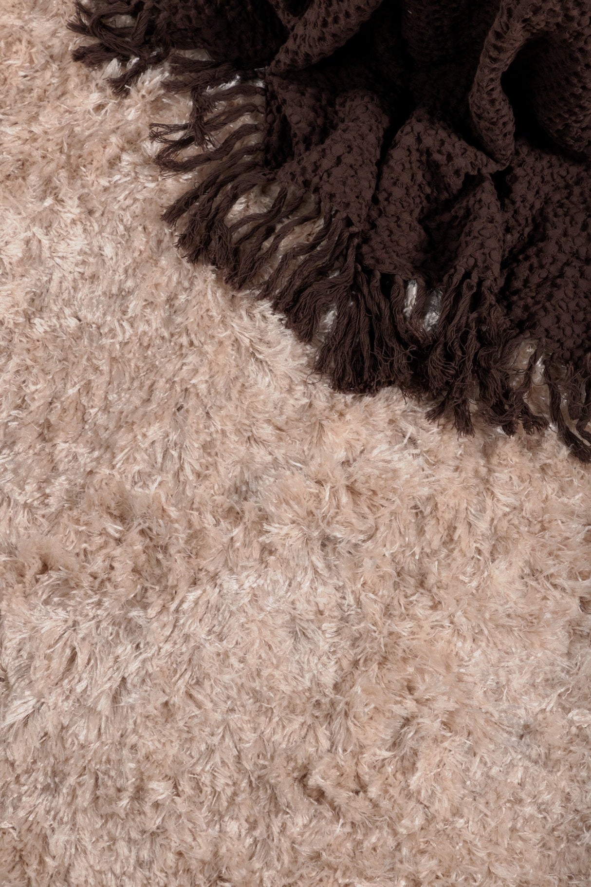 Natta Wohnzimmerteppich - beige/Polyester - Wohnzimmerteppiche - ALVAHOME