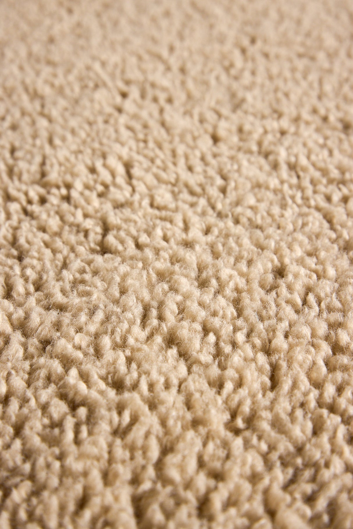 Teddy Wohnzimmerteppich - beige/Polyester - Wohnzimmerteppiche - ALVAHOME