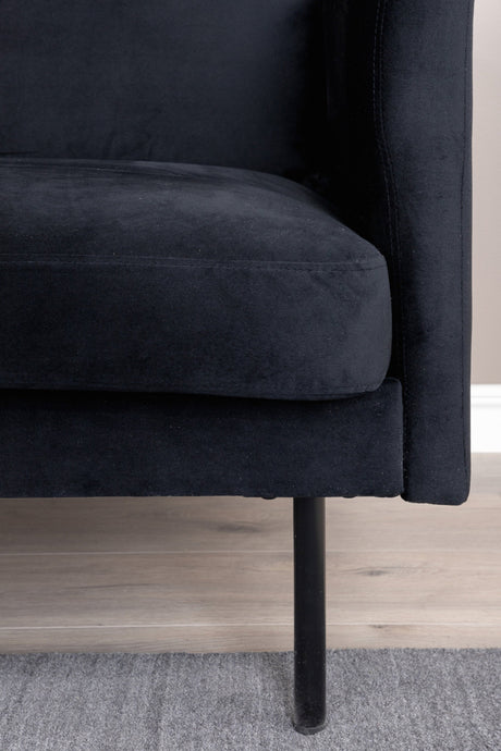 Zoom 2 - Sitzer Sofa - schwarz/Polyester - Samt - 2 - Sitzer Sofas - ALVAHOME